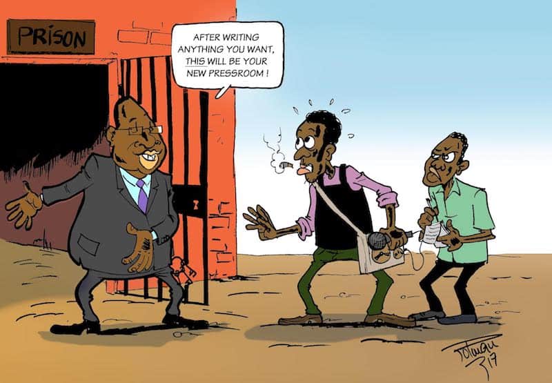 Harassment of journalists across Africa a concern. Cartoon: Roland Polman