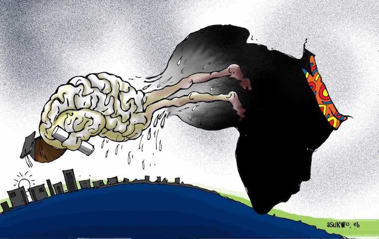 The extent of Africa’s brain drain worrying. Cartoon: Mike Asukwo.
