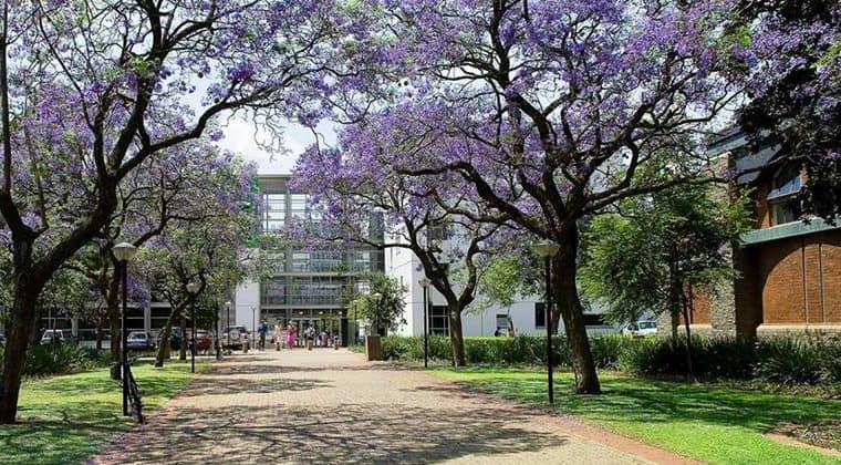 University of Pretoria