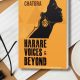 Harare Voices and Beyond Promotional Image
