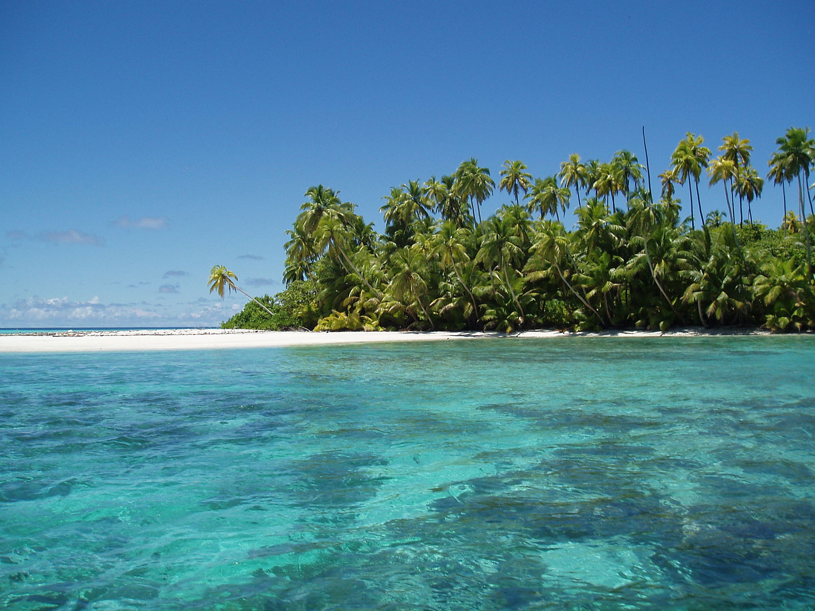 Salomons Atoll is one of the many above water features of the Chagos Archipelago
