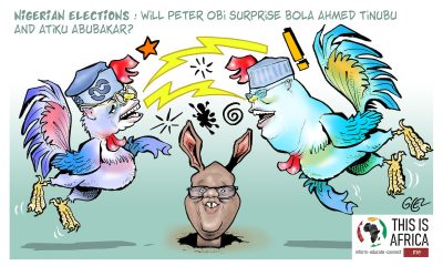 Cartoon: Nigeria elections 2023