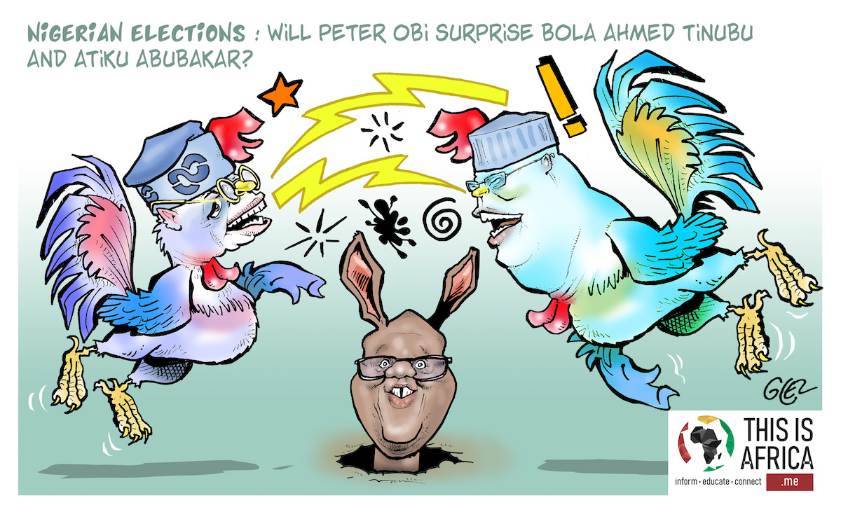 Cartoon: Nigeria elections 2023