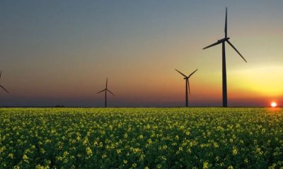 Wind turbine, solution.