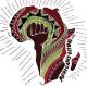 Pan-African progressives Africans Rising elect coordinating collective