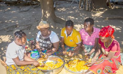 Tilimbike Elephant Women’s Club cutting Tumeric