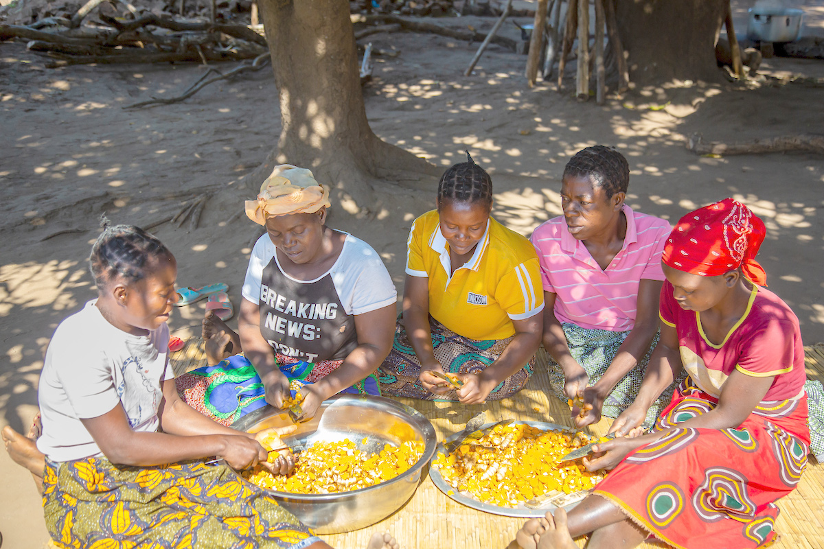 Tilimbike Elephant Women’s Club cutting Tumeric